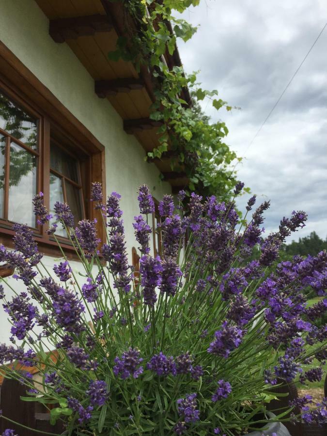 Dom Rodziny Sojkow Bed & Breakfast Bialka Tatrzanska Eksteriør bilde