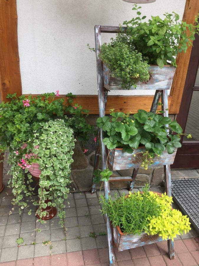 Dom Rodziny Sojkow Bed & Breakfast Bialka Tatrzanska Eksteriør bilde