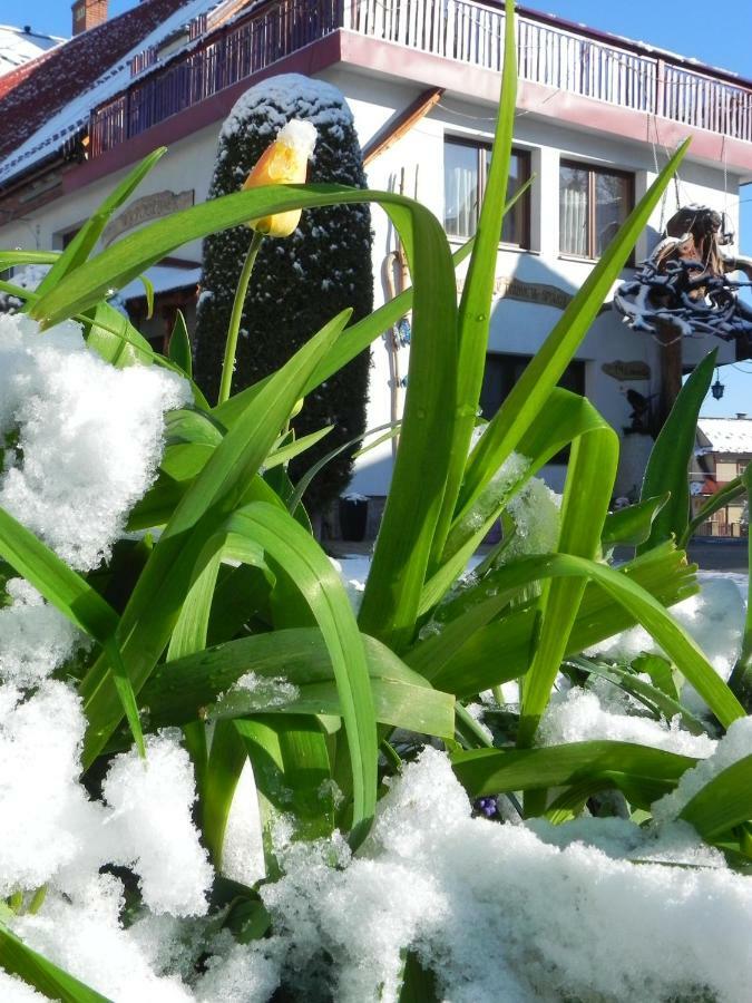 Dom Rodziny Sojkow Bed & Breakfast Bialka Tatrzanska Eksteriør bilde